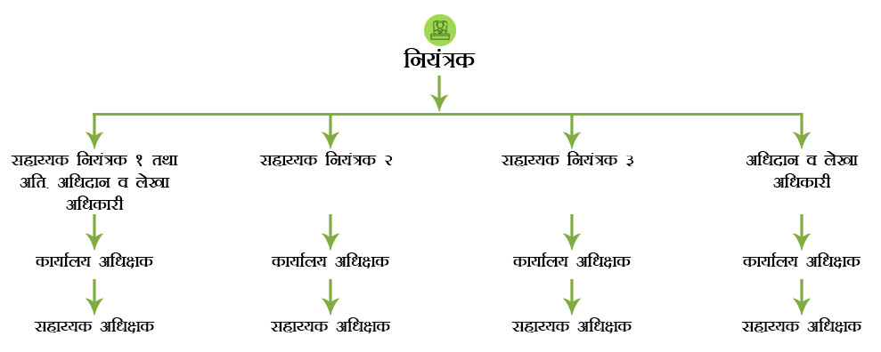 Organizational Chart